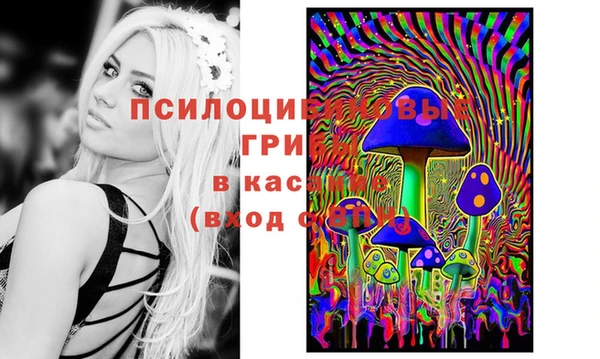 каннабис Костерёво