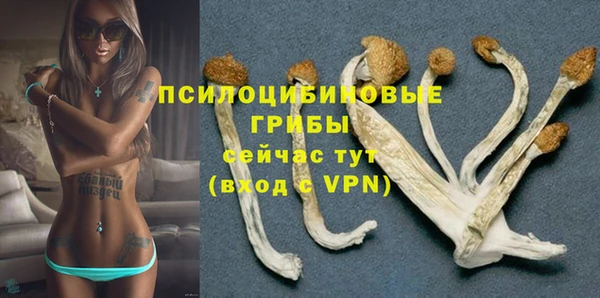 Альфа ПВП Коряжма
